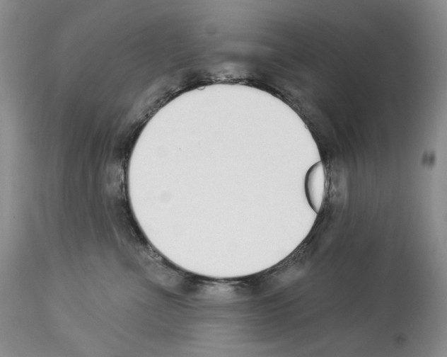 X0000112840523200910021111