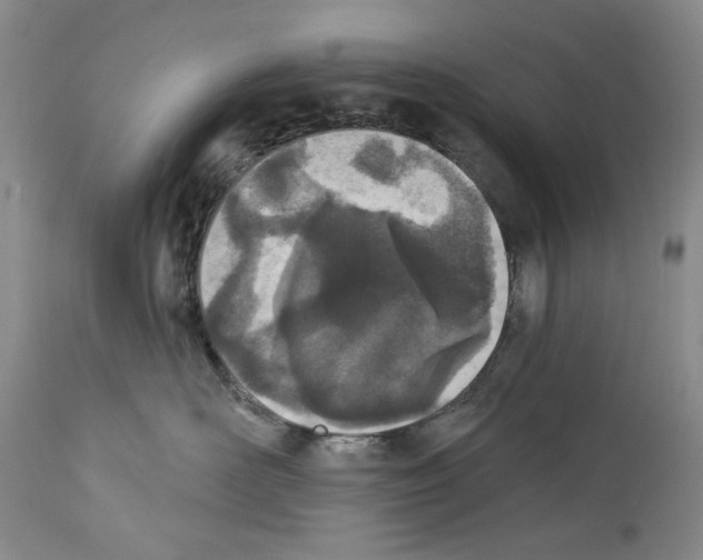 X0000112840526200910021111