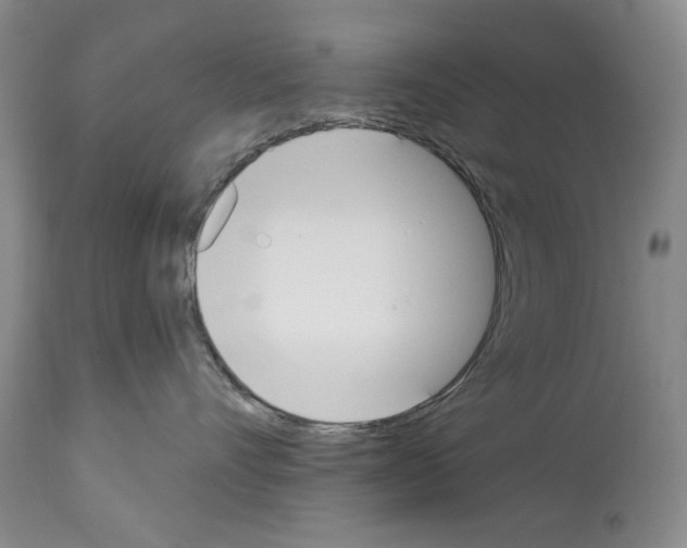 X0000112840528200910021111