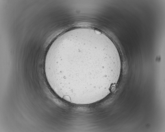 X0000112840529200910021110