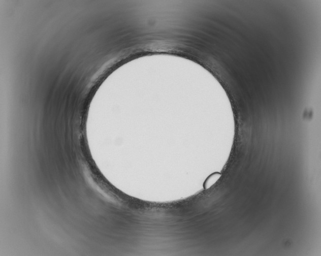 X0000112840530200910021110