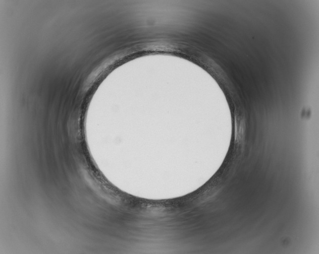 X0000112840531200910021110