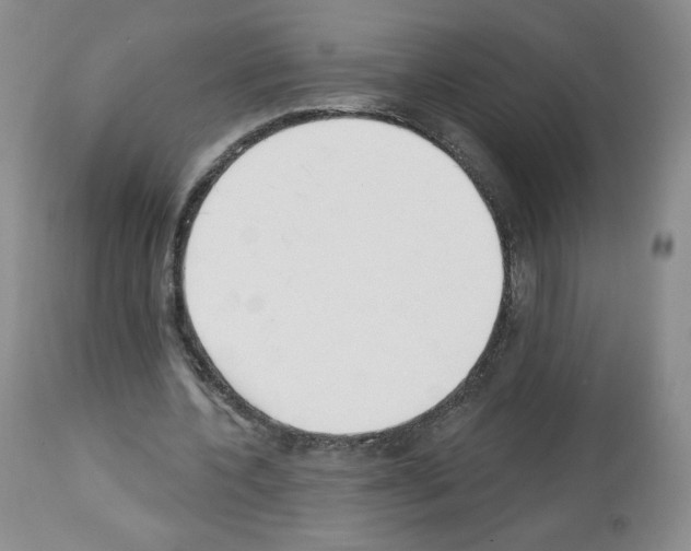 X0000112840532200910021110