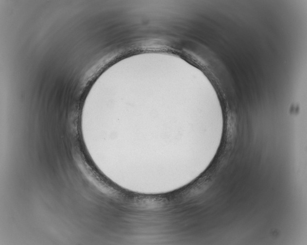 X0000112840533200910021110