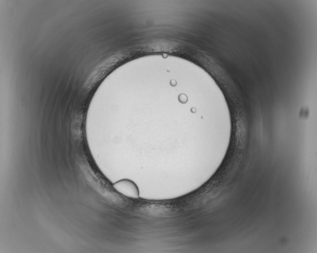 X0000112840537200910021110