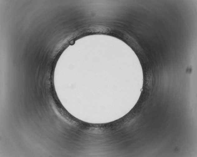 X0000112840538200910021110