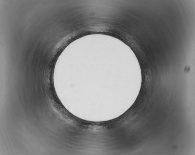 X0000112840539200910021110