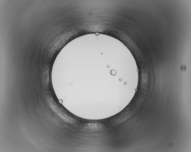 X0000112840541200910021110