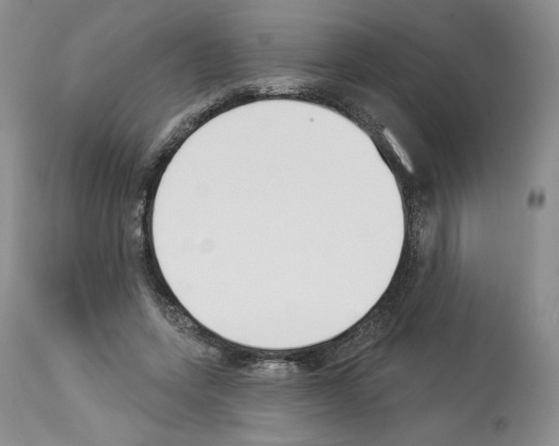 X0000112840543200910021110