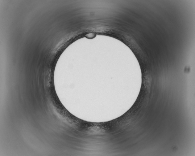 X0000112840544200910021110