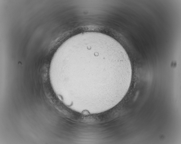 X0000112840545200910021110