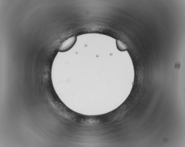 X0000112840546200910021110