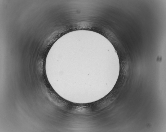 X0000112840550200910021110