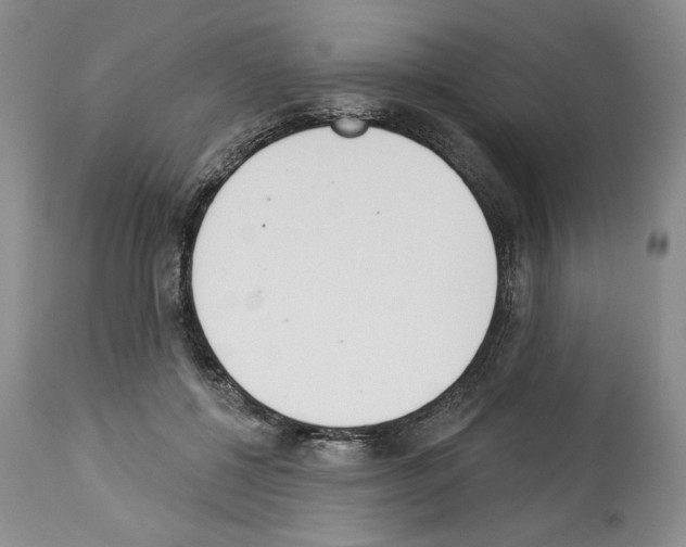 X0000112840552200910021110