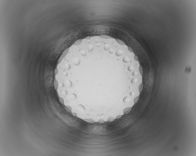 X0000112840553200910021110