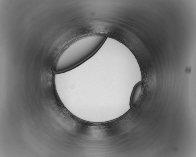 X0000112840556200910021110