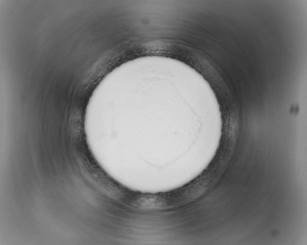 X0000112840557200910021110