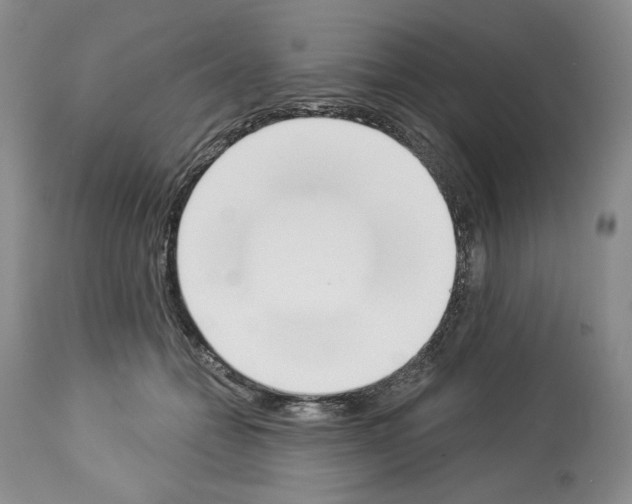 X0000112840558200910021110