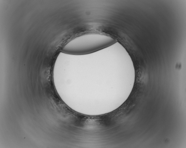 X0000112840560200910021110