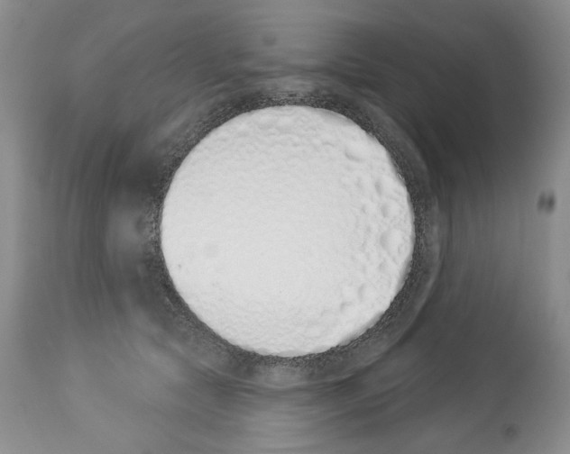 X0000112840561200910021110