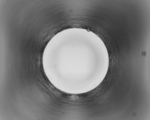 X0000112840562200910021110