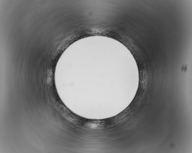 X0000112840563200910021110