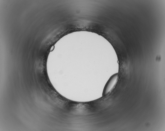 X0000112840566200910021110