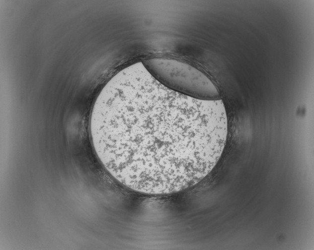 X0000112840568200910021110