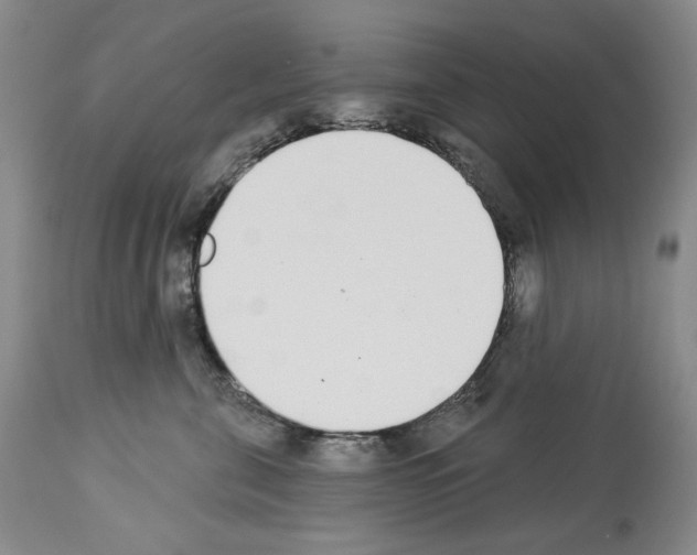 X0000112840571200910021110