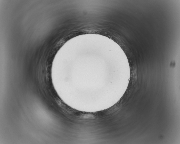 X0000112840572200910021111