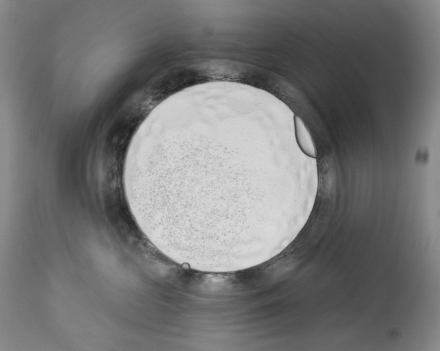 X0000112840573200910021111