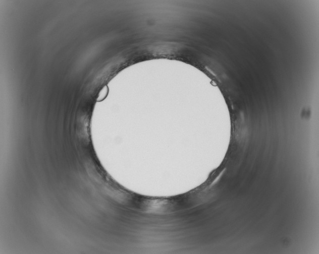 X0000112840575200910021111