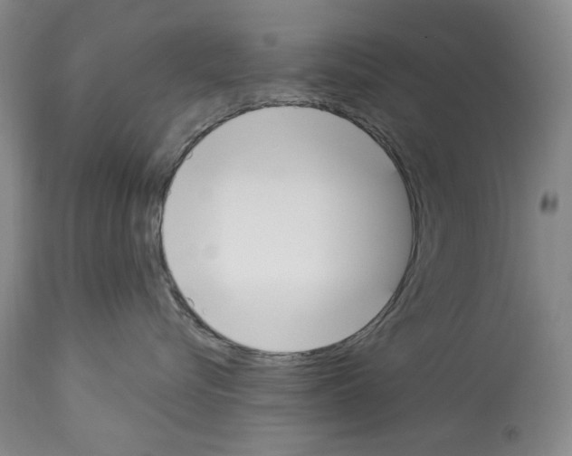 X0000112840576200910021111