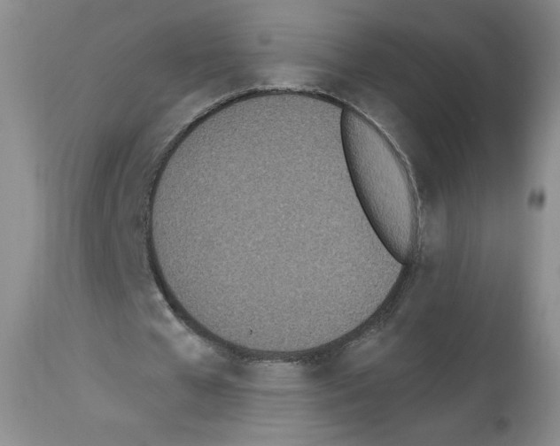 X0000112840577200910021110