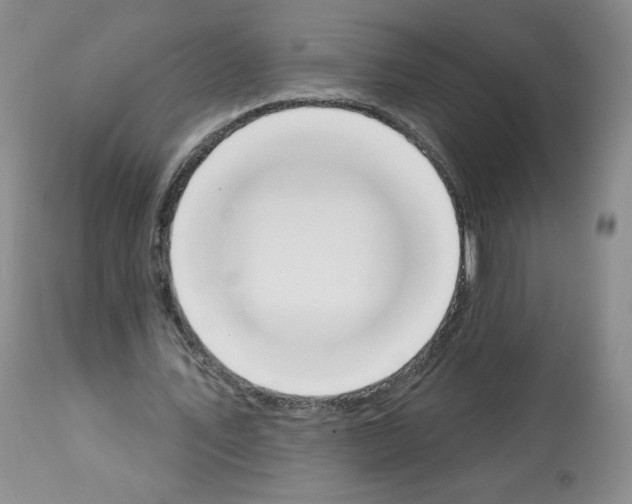 X0000112840579200910021110