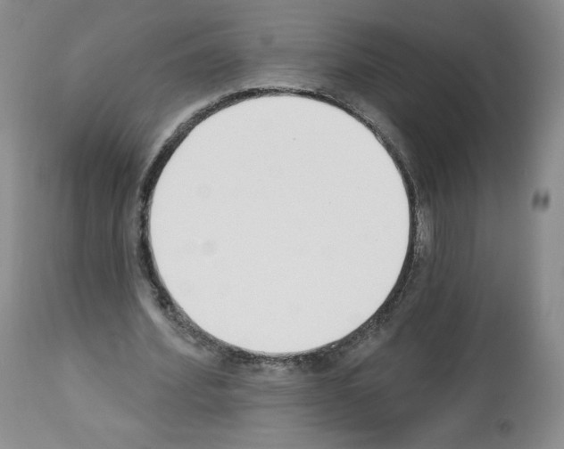 X0000112840580200910021110