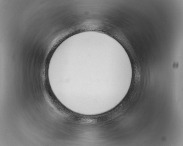 X0000112840582200910021110