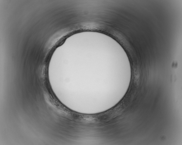 X0000112840583200910021110