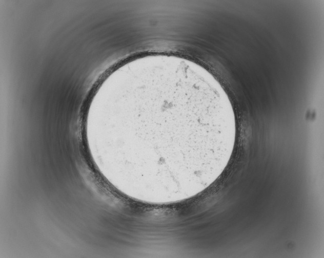 X0000112840584200910021110