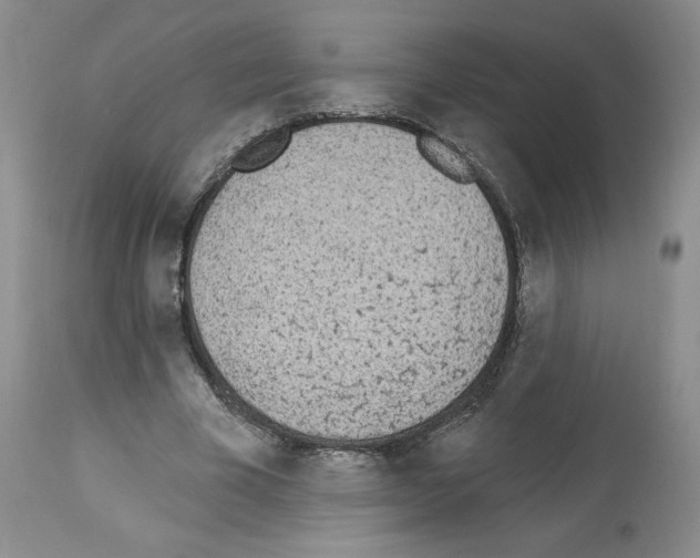 X0000112840585200910021110