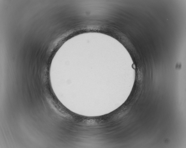 X0000112840588200910021110