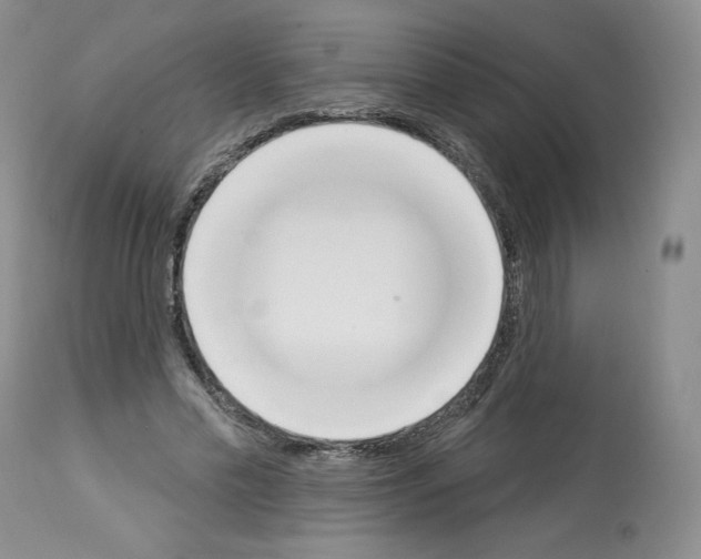 X0000112840589200910021110