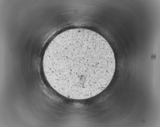 X0000112840592200910021110