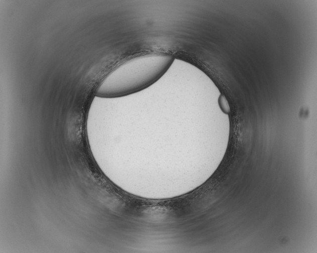 X0000112840593200910021110