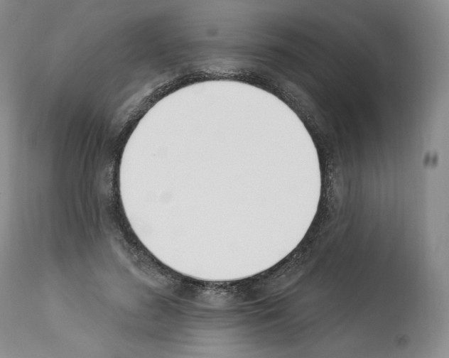 X0000112840596200910021110