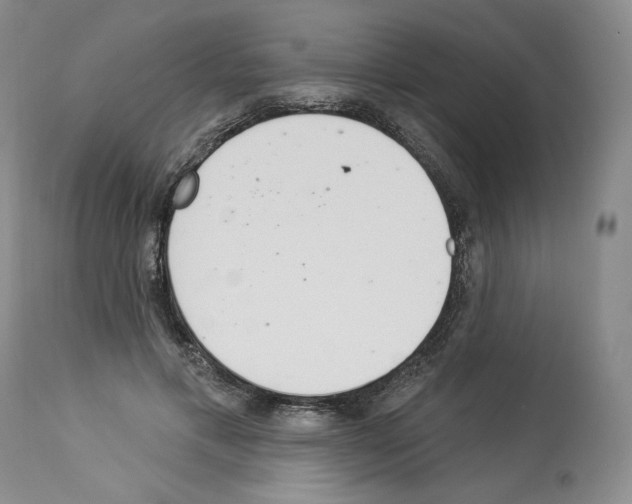 X0000112840597200910021110