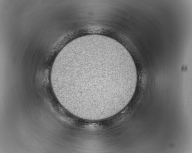 X0000112840598200910021110