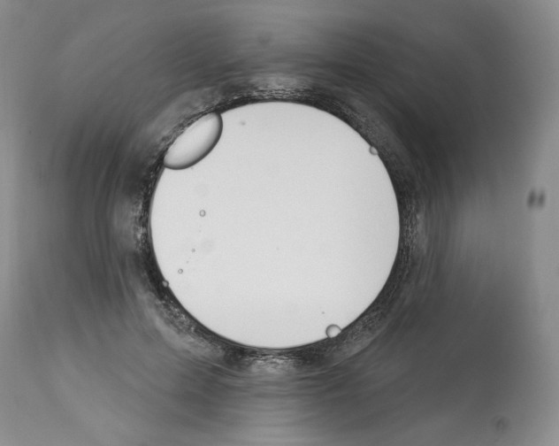 X0000112840599200910021110