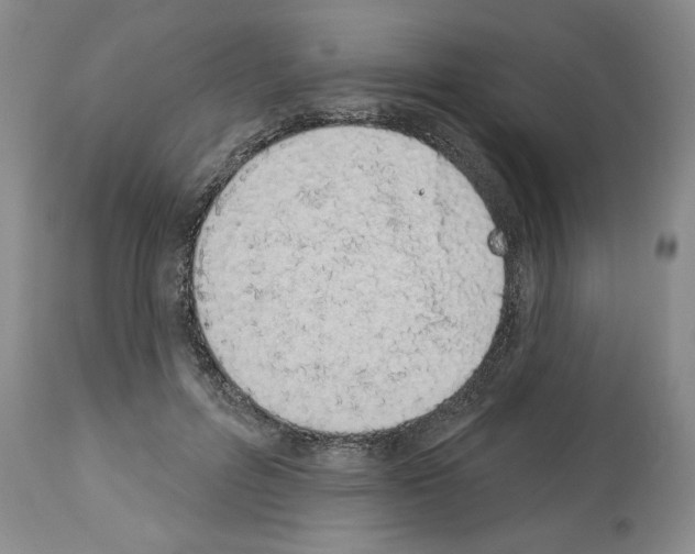 X0000112840600200910021110