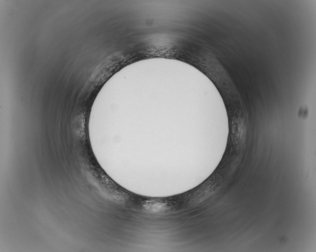 X0000112840602200910021110